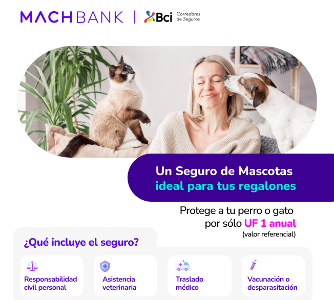 Seguro-para-mascotas-bpets.png