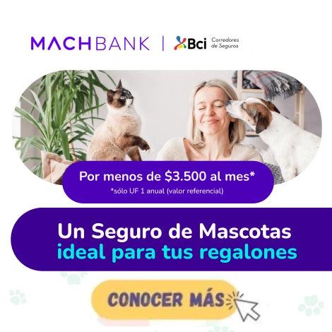 Seguro de mascotas completo para perros y gatos 2025 – tranquilidad para tu mejor amigo