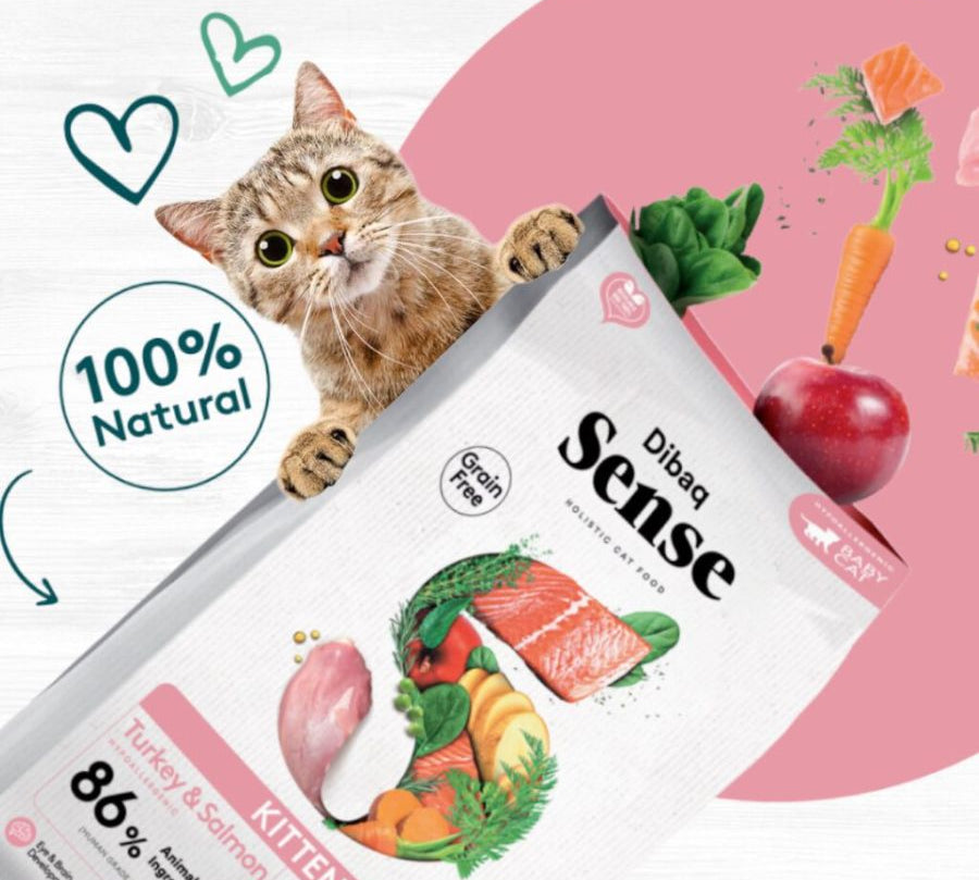 Alimento para gatitos Dibaq Sense Pavo y Salmón sin cereales 1.5kg – Chile