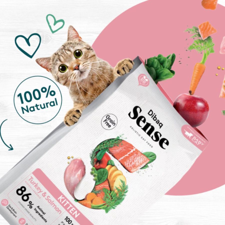 Dibaq Sense Grain Free Kitten Pavo & Salmón 6kg: Alimento hipoalergénico para gatitos. 86% de proteína animal, omega 3, antioxidantes y cuidado articular. ¡Cuida a tu gatito desde el primer mes de vida!