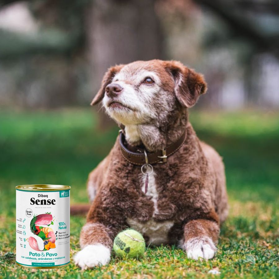 Dibaq Sense Lata para Perros Senior Pato y Pavo Light alimento húmedo natural, bajo en calorías, ideal para perros mayores o con sobrepeso.