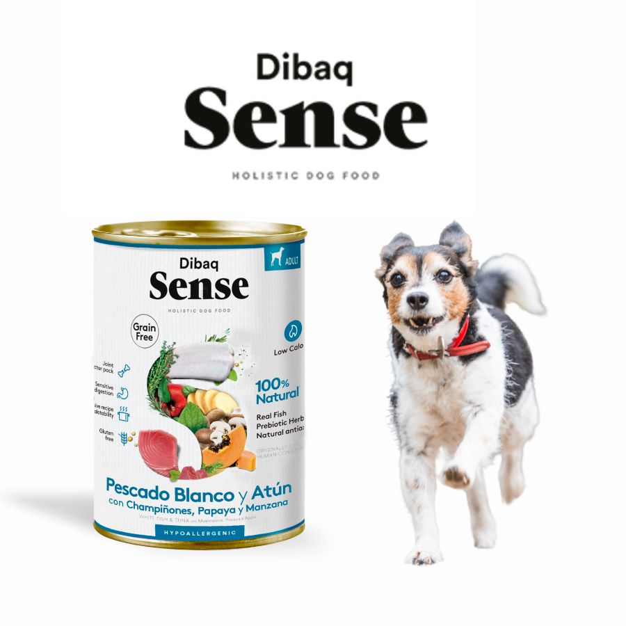 Dibaq Sense Lata para Perros Merluza y Atún receta hipoalergénica sin carne ni cereales, ideal para perros con digestión sensible.