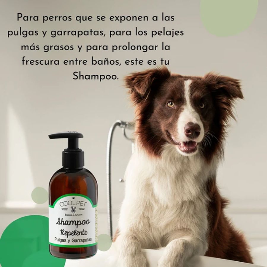 Shampoo Repelente de Pulgas y Garrapatas CoolPet 🐶, con aceite de Tea Tree, ideal para pieles sensibles y protección natural contra parásitos. 🌿