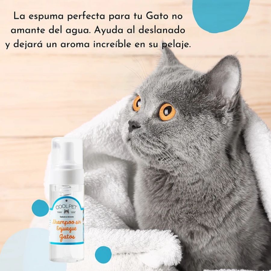 Shampoo Seco para Gatos Coolpet 🐾 ideal para higiene sin agua. Aroma coco lima verbena, elimina olores y es seguro para pieles sensibles.