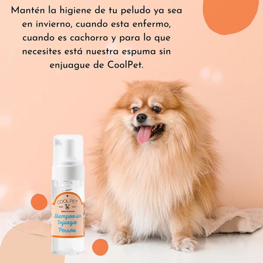 Shampoo Seco para Perros Coolpet 🐾 con aroma Coco Lima, ideal para mantener la higiene sin agua. Apto para pieles sensibles y uso frecuente.