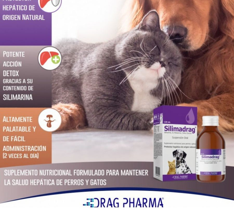 Silimadrag Suspensión Oral 120ml apoya la salud hepática con silimarina, colina y metionina. Ideal para tratamientos hepáticos en perros y gatos.