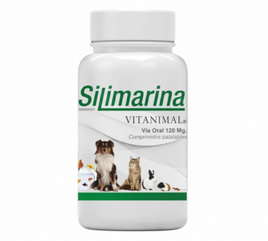 Silimarina Vitanimal 120 mg 30 comprimidos, suplemento hepático natural para perros y gatos, ideal en casos de hepatitis o daño hepático crónico. Bpets