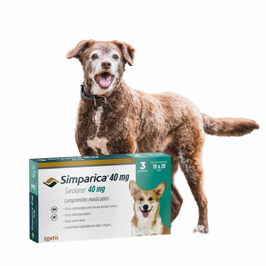 Simparica 10 - 20kg (40mg), comprimido masticable antiparasitario. Elimina pulgas, garrapatas y sarna con acción rápida y protección por 35 días.