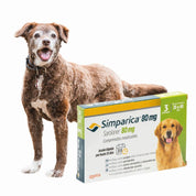 Simparica 20 - 40kg (80mg), comprimido masticable antiparasitario. Elimina pulgas, garrapatas y sarna con acción rápida y protección por 35 días.