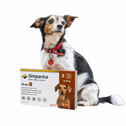 Simparica 5 - 10kg (20mg), comprimido masticable antiparasitario. Elimina pulgas, garrapatas y sarna con acción rápida y protección por 35 días.