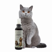 SpaPets Colonia para Perros y Gatos deja el pelaje fresco, suave y con aroma duradero. Fórmula hipoalergénica ideal para uso frecuente y todo tipo de mascotas.
