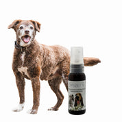 SpaPets Emulsionado Hidratante y Regenerador repara nariz y cojinetes secos. Con avena, aloe y hamamelis. Ideal para piel sensible y climas extremos.