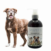 SpaPets Shampoo Hipoalergénico 500ml limpia suavemente, calma la piel sensible y deja el pelaje suave y brillante. Ideal para uso frecuente en perros y gatos.