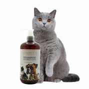 SpaPets Shampoo para Perros y Gatos 250ml limpia a fondo, hidrata y deja el pelaje suave y perfumado con aroma a Black Tea. Ideal para uso frecuente.