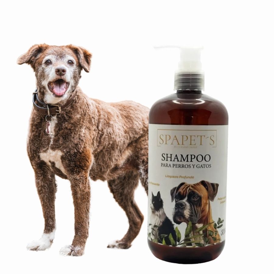SpaPets Shampoo para Perros y Gatos 250ml limpia a fondo, hidrata y deja el pelaje suave y perfumado con aroma a Black Tea. Ideal para uso frecuente.
