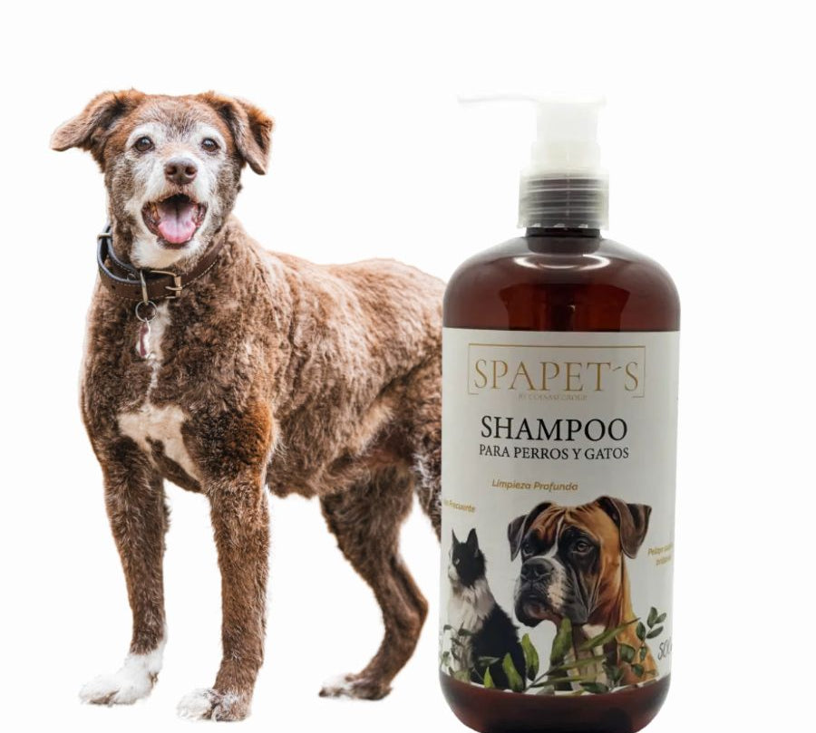 SpaPets Shampoo para Perros y Gatos limpia a fondo, hidrata y deja el pelaje suave y perfumado con aroma a Black Tea. Ideal para uso frecuente.