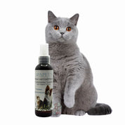 SpaPets Spray Antiséptico y Desinfectante elimina virus, bacterias y hongos sin alcohol ni fragancias. Seguro para mascotas, ideal para uso diario en el hogar.