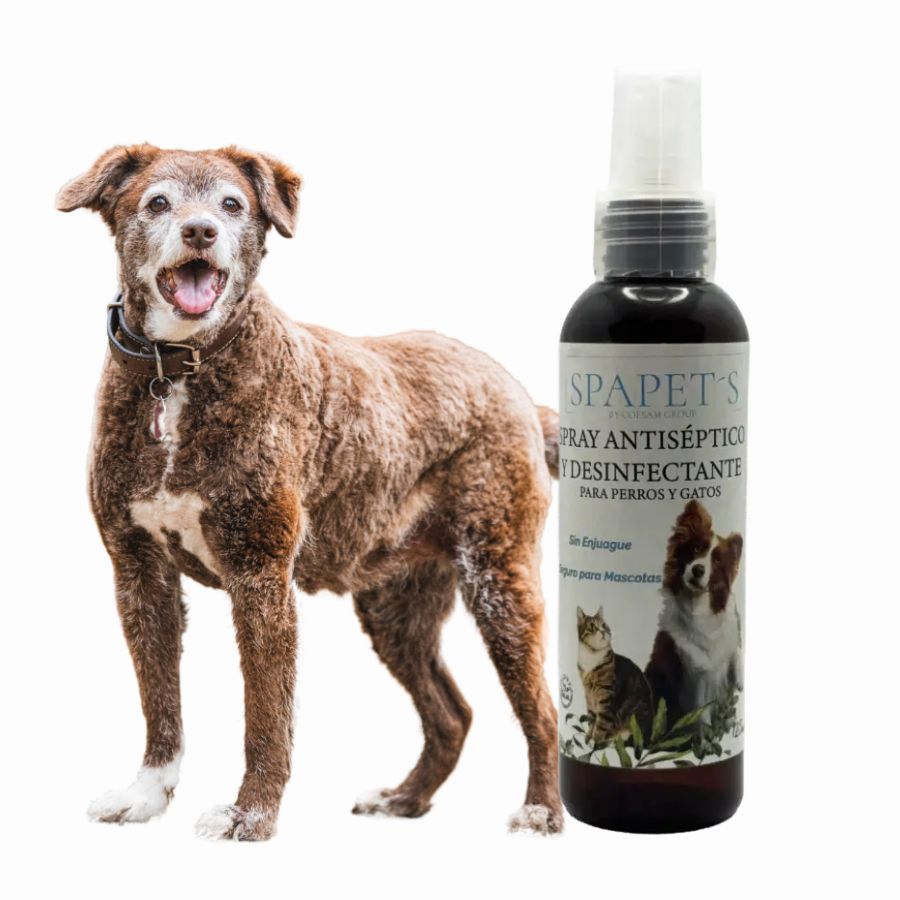 SpaPets Spray Antiséptico y Desinfectante elimina virus, bacterias y hongos sin alcohol ni fragancias. Seguro para mascotas, ideal para uso diario en el hogar.