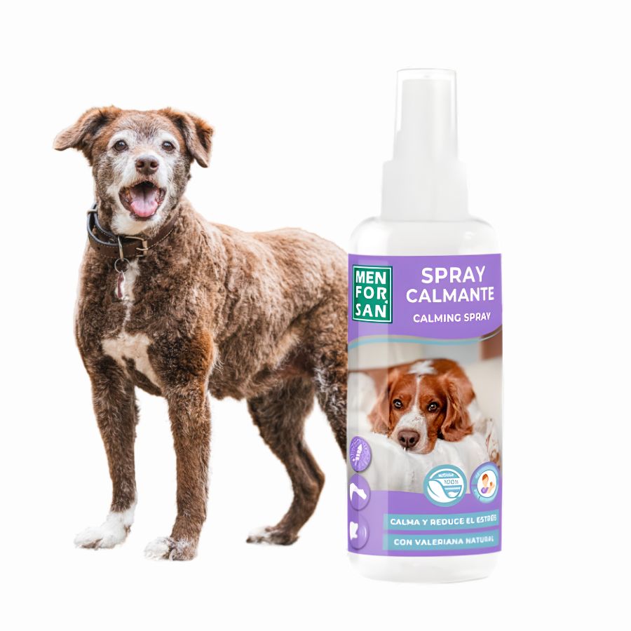 Spray Calmante para Perros Men For San 60ml con valeriana natural, ideal para reducir ansiedad, estrés y mejorar la conducta de forma inmediata.
