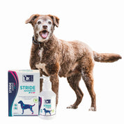 Stride Advanced Perro 200 ml TRM, suplemento vegano con Glucosamina, Omega 3 y Condroitina, ideal para cuidar las articulaciones de tu perro.