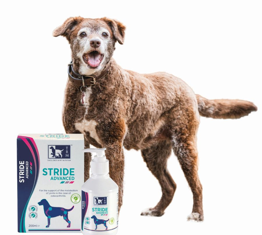Stride Advanced Perro 200 ml TRM, suplemento vegano con Glucosamina, Omega 3 y Condroitina, ideal para cuidar las articulaciones de tu perro.