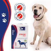 Stride Plus Perro 200 ml TRM es un suplemento líquido vegano que apoya la salud articular con glucosamina, condroitín y ácido hialurónico. Ideal para perros activos o mayores. B-Pets