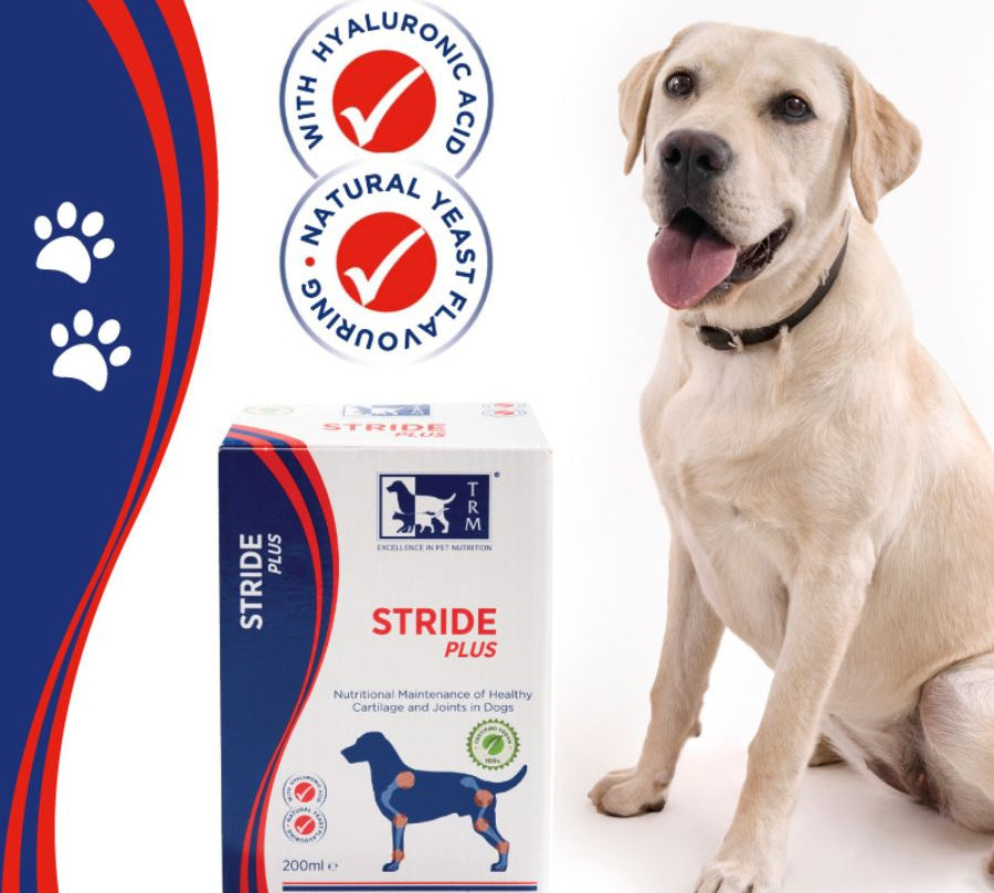 Stride Plus Perro 200 ml TRM es un suplemento líquido vegano que apoya la salud articular con glucosamina, condroitín y ácido hialurónico. Ideal para perros activos o mayores. B-Pets