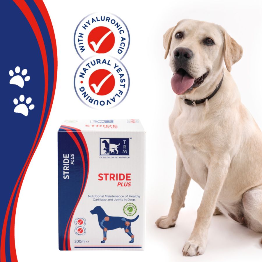 Stride Plus Perro 200 ml TRM es un suplemento líquido vegano que apoya la salud articular con glucosamina, condroitín y ácido hialurónico. Ideal para perros activos o mayores. B-Pets