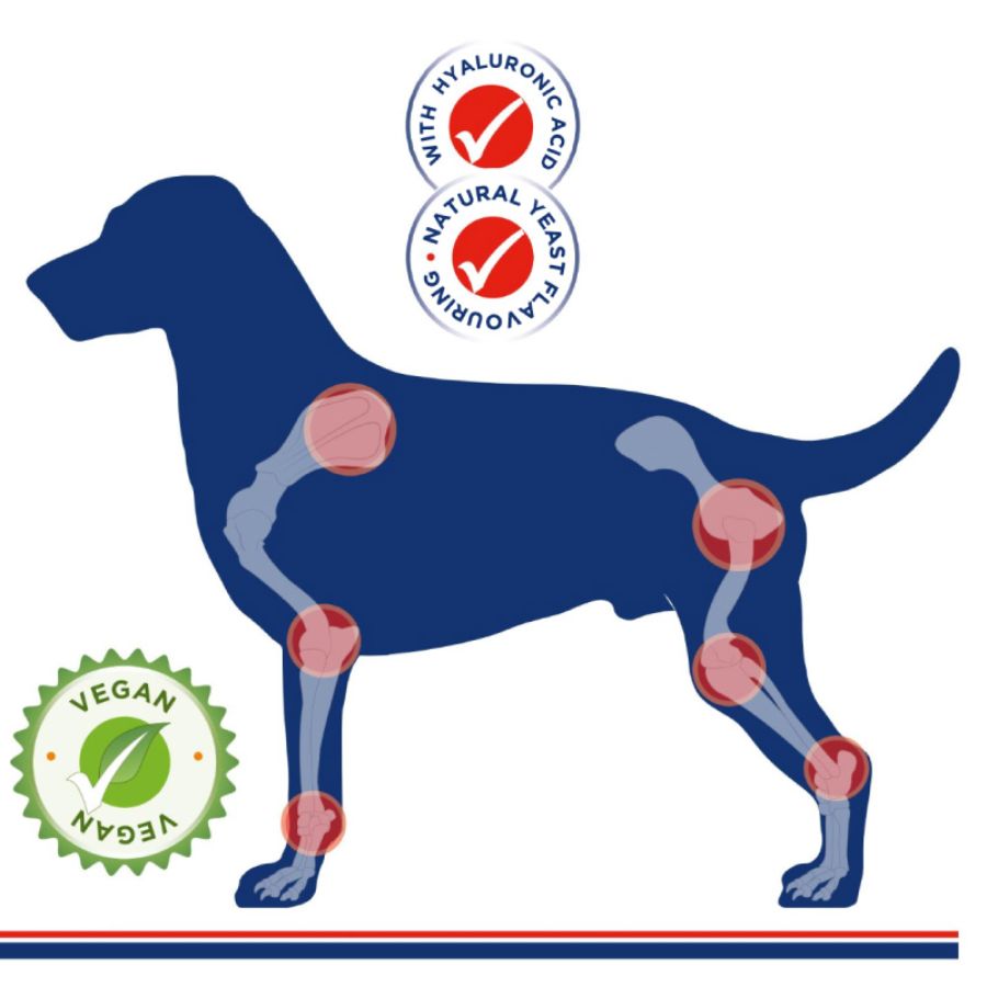 Stride Plus Perro 200 ml TRM es un suplemento líquido vegano que apoya la salud articular con glucosamina, condroitín y ácido hialurónico. Ideal para perros activos o mayores. B-Pets
