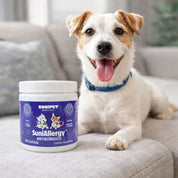 Sunipet SuniAllergy 140 GR antialérgico en gomitas con Omega 3 y 6, quercetina y ácido hialurónico para piel sensible y alergias.
