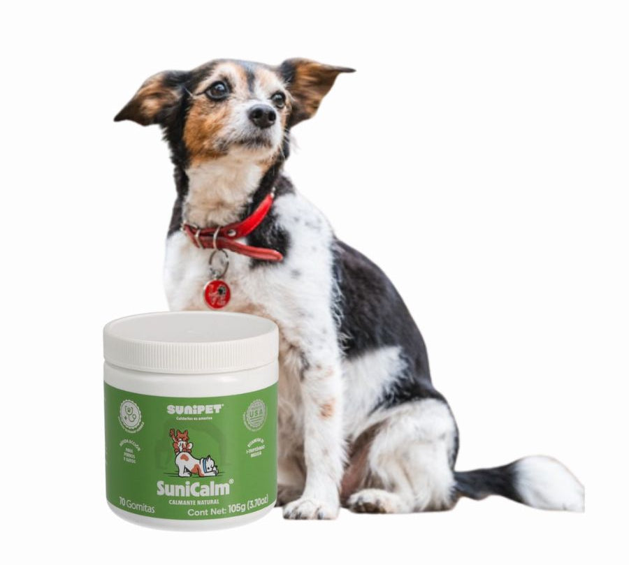 Sunipet SuniCalm Gomitas Anti Estrés, suplemento natural que calma sin sedar. Ideal para ansiedad por separación o viajes.