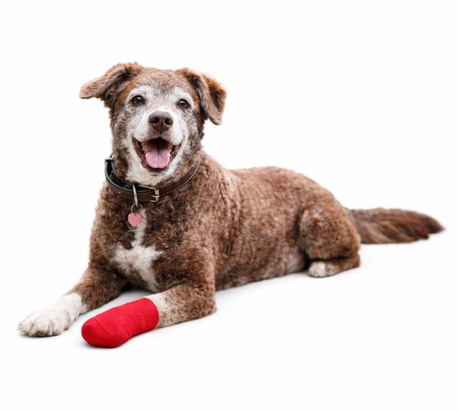 Venda Cohesiva Coban 10cm autoadhesiva y elástica, ideal para mascotas, resistente al agua, fácil de usar y retirar, sin adherirse al pelo.