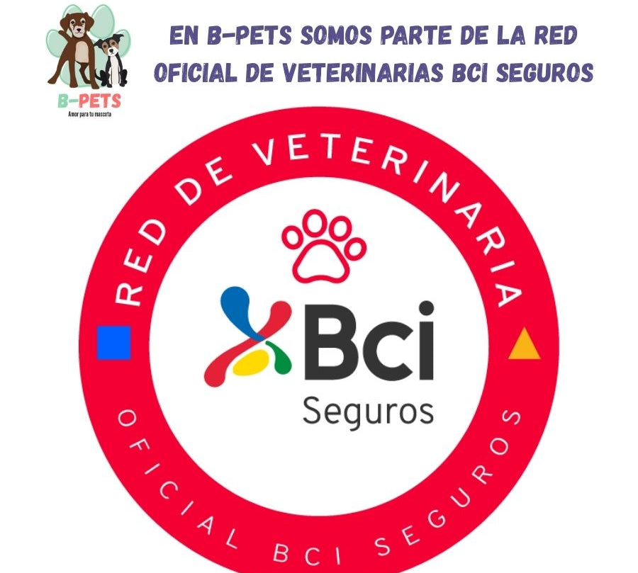 Atención veterinaria para perros en un entorno tranquilo y diseñado para peluditos. Diagnósticos precisos, manejo amable y cuidados personalizados.