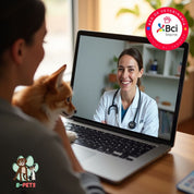 Atención Teleconsulta veterinaria en un entorno tranquilo y diseñado para gatos. Diagnósticos precisos, manejo amable y cuidados personalizados.