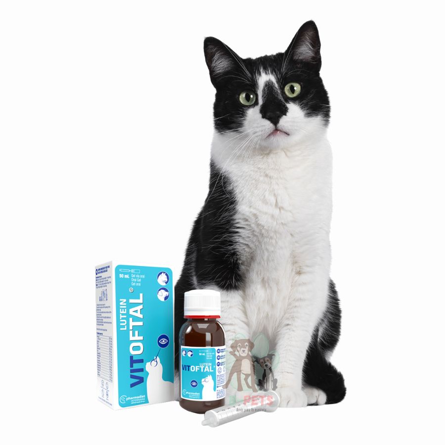 Vitoftal Lutein 50 ml, suplemento ocular con luteína, DHA y resveratrol. Protege retina, nervio óptico y mejora la calidad de la lágrima.