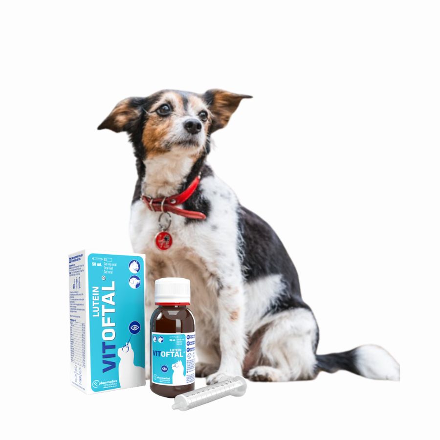 Vitoftal Lutein 50 ml, suplemento ocular con luteína, DHA y resveratrol. Protege retina, nervio óptico y mejora la calidad de la lágrima.
