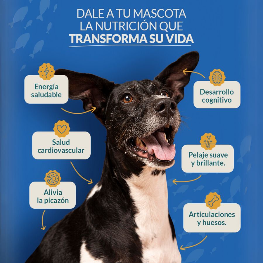 Wau Better Omega 3 Natural para Perros 🐟✨, suplemento de pesca salvaje con EPA, DHA y vitamina E. Ideal para piel sana, pelaje brillante y articulaciones fuertes.