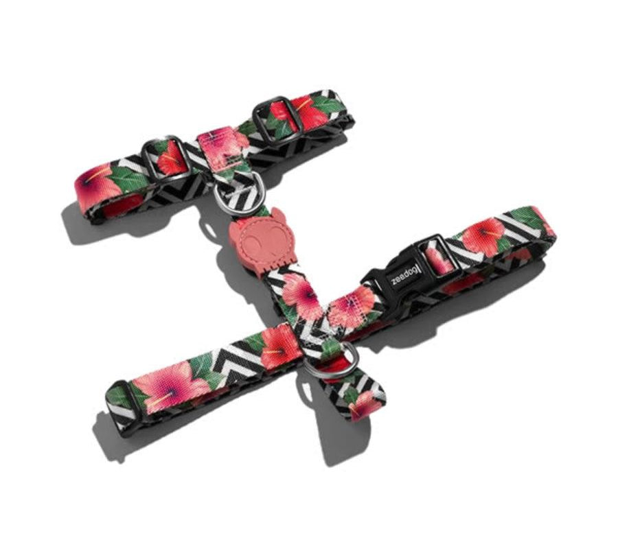 Zee Dog Mahalo H-Harness: Arnés en forma de H para perros, ligero y ajustable. 🐕 Fabricado en poliéster suave, con sistema de bloqueo seguro y diseño vibrante.