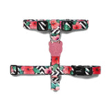 Zeedog Mahalo H-Harness