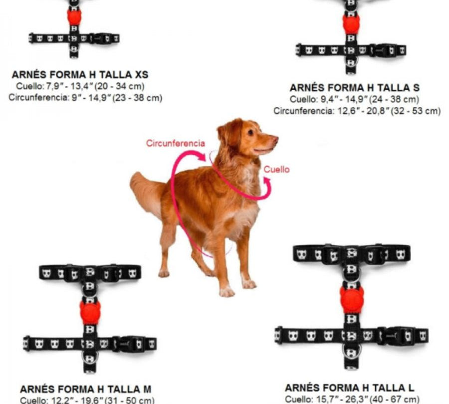 Zee Dog Skull 2.0 H-Harness: Arnés en forma de H para perros, ligero y ajustable. 🐕 Fabricado en poliéster suave, con sistema de bloqueo seguro y diseño vibrante.