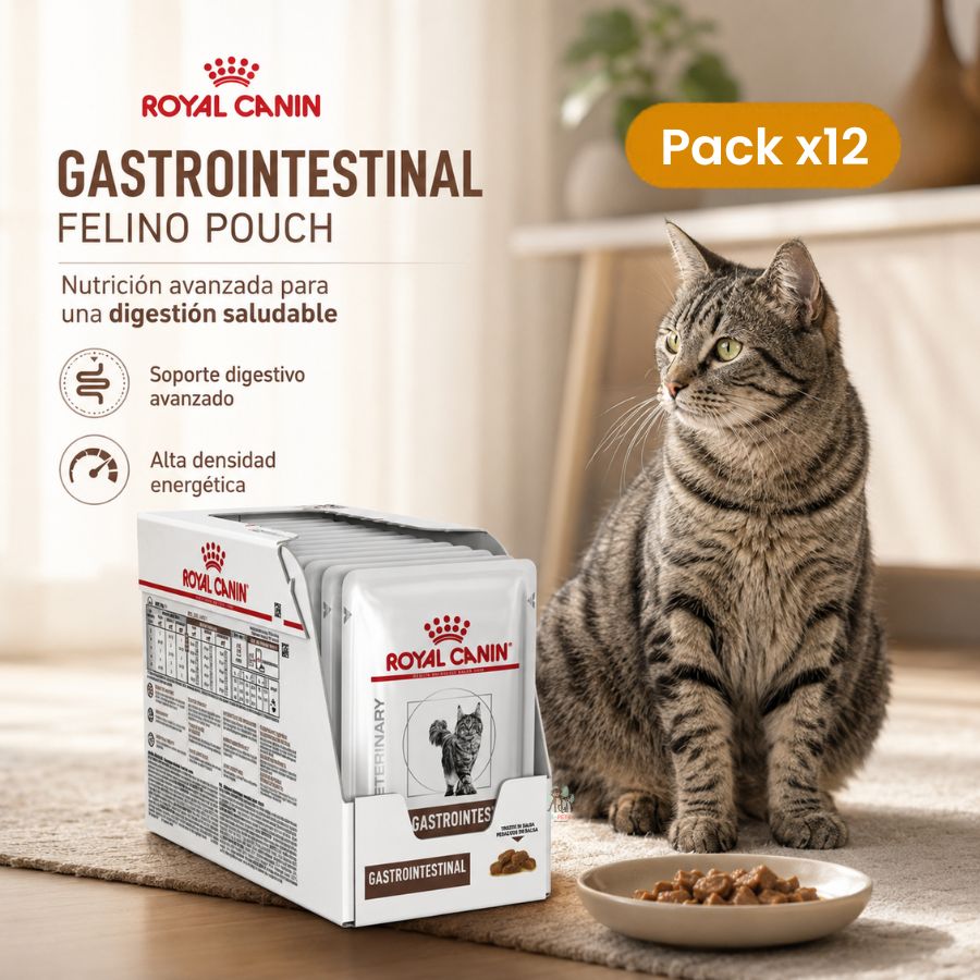 Comprar Pack 12x Royal Canin Gastrointestinal Felino Pouch alimento húmedo dietético para gatos con digestión sensible, alta energía y palatabilidad.