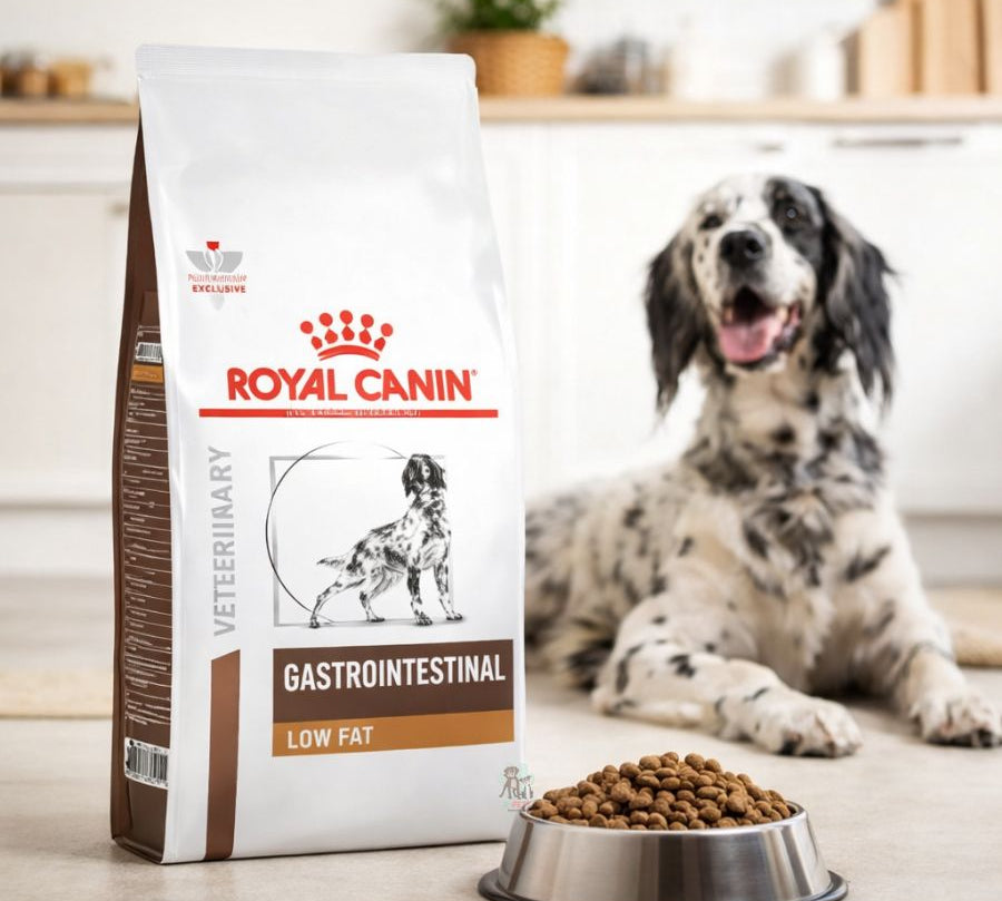 Royal Canin Gastrointestinal Low Fat Perro 1.5Kg bajo en grasa, ideal para problemas digestivos y una nutrición equilibrada.