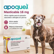 Apoquel Masticable 16mg 20 comprimidos, medicamento oral para perros con prurito, dermatitis alérgica y atópica bajo indicación veterinaria.