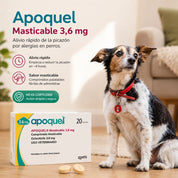 Perro junto a la caja de Apoquel Masticable 3,6 mg y dos comprimidos, con beneficios de alivio rápido y sabor masticable