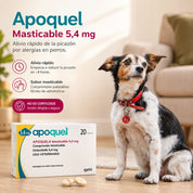 Perro junto a la caja de Apoquel Masticable 5,4 mg y dos comprimidos, con beneficios de alivio rápido y sabor masticable