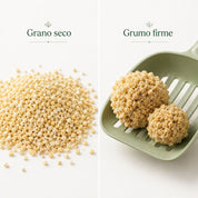 Comparativa de arena Amocléu: gránulos de maíz secos y dos grumos firmes formados sobre una pala