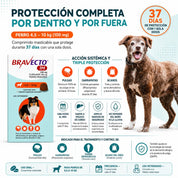 Infografía de Bravecto 1M: acción sistémica contra pulgas, garrapatas y ácaros con una dosis mensual
