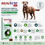 Beneficios de Bravecto 1M Perro 10-20 kg: pulgas, garrapatas, sarna demodécica y ácaro del oído en 37 días