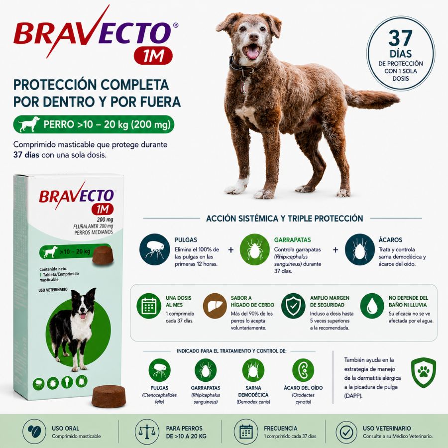 Beneficios de Bravecto 1M Perro 10-20 kg: pulgas, garrapatas, sarna demodécica y ácaro del oído en 37 días