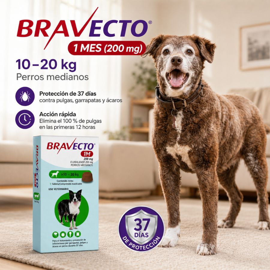 Bravecto 1M Perro 10-20 kg junto a un perro, 37 días de protección contra pulgas, garrapatas y ácaros